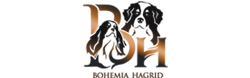Bohemia Hagrid