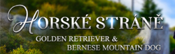 Horské stráně